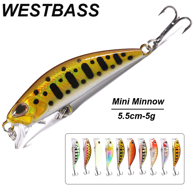 WESTBASS 1PX Micro Minnow Lure - مراجعة Fishing Lure Popper وسعره