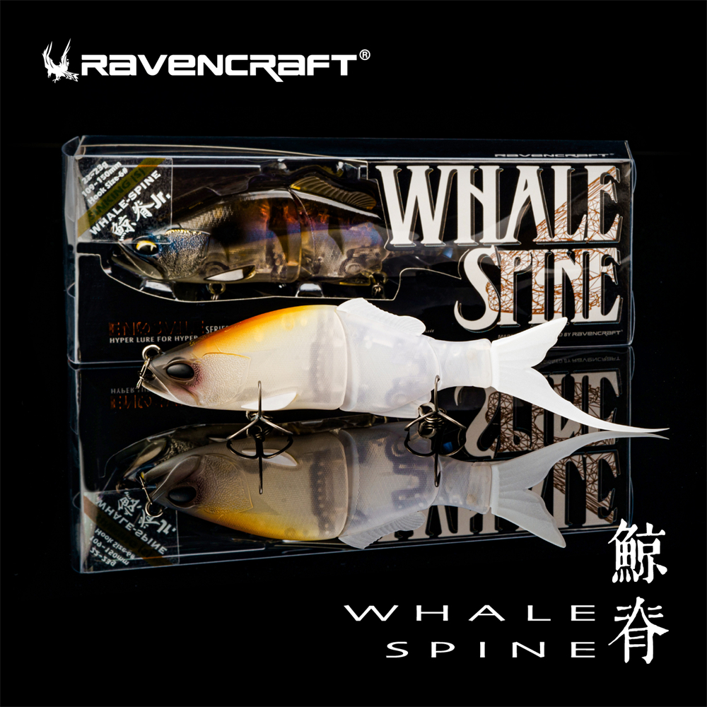 Ravencraft Whale-Spine JR 109m - مراجعة Fishing Lure Popper وسعره
