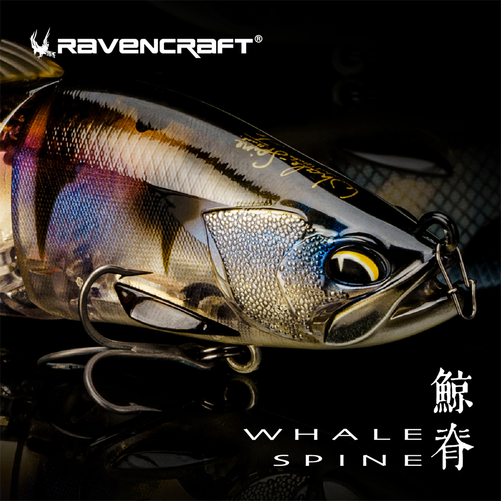 Ravencraft Whale-Spine JR 109m - مراجعة Fishing Lure Popper وسعره