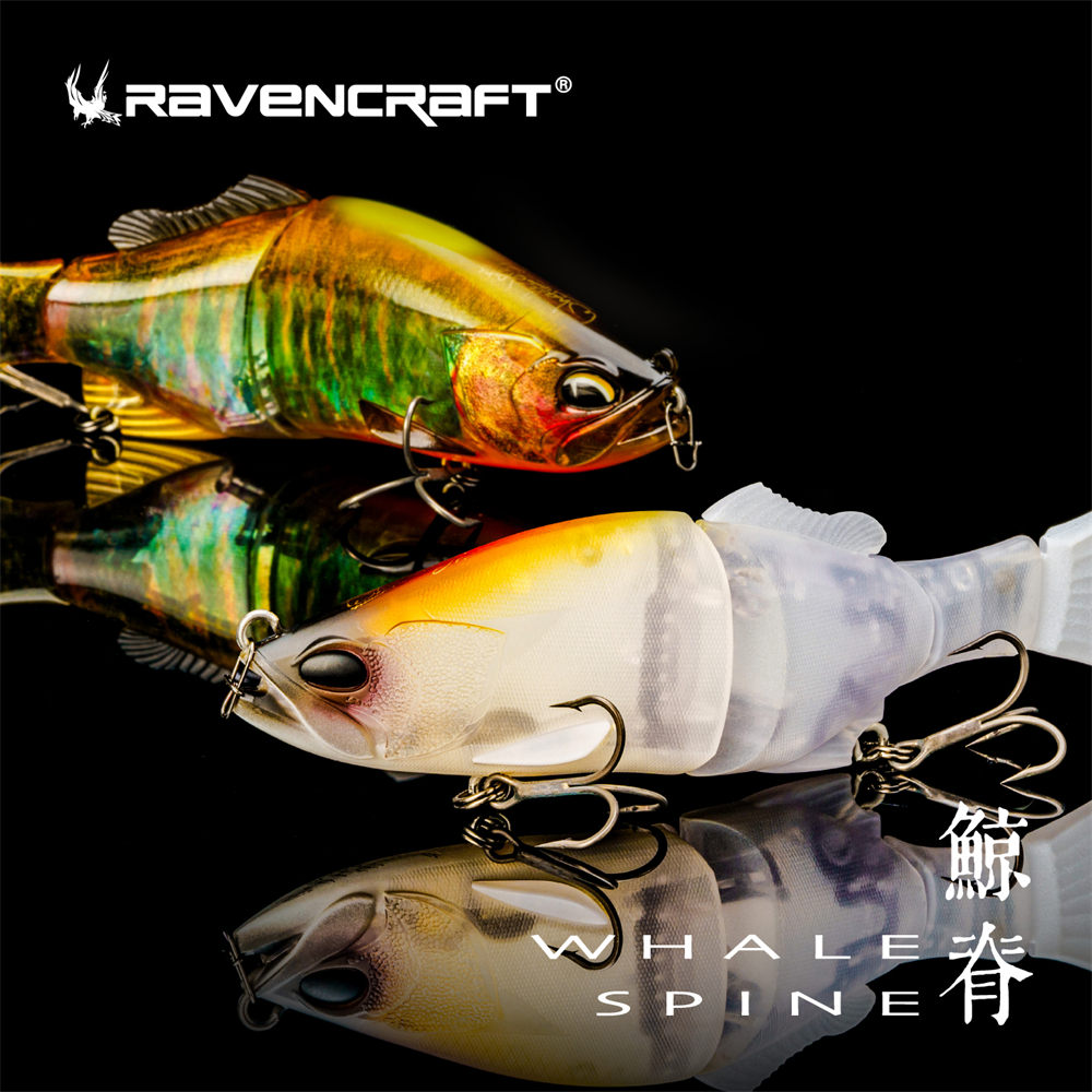 Ravencraft Whale-Spine JR 109m - مراجعة Fishing Lure Popper وسعره