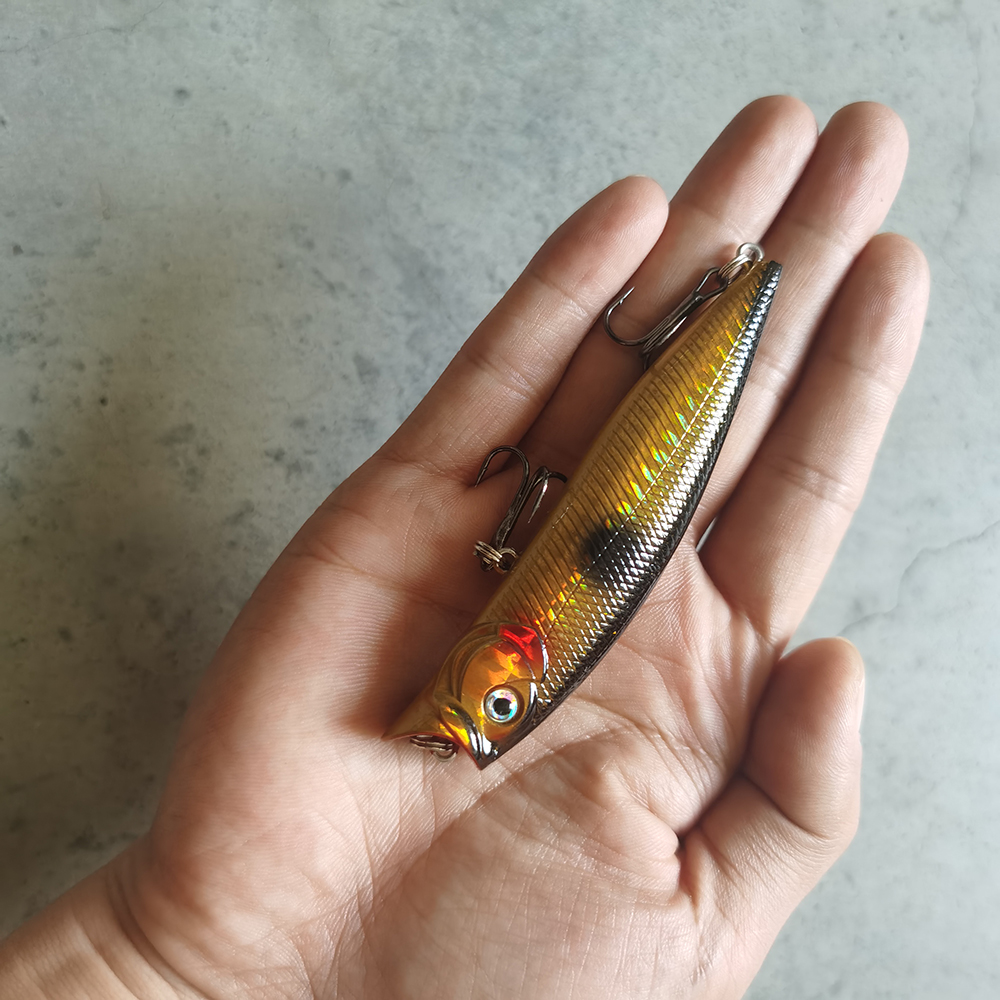 1pcs Fishing Lures High Qualit - مراجعة Fishing Lure Popper وسعره