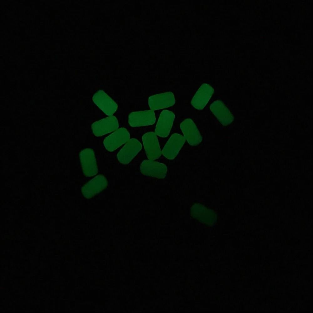 100Pcs/Bag Luminous Fishing So - مراجعة Fishing Lure Making Kit وسعره